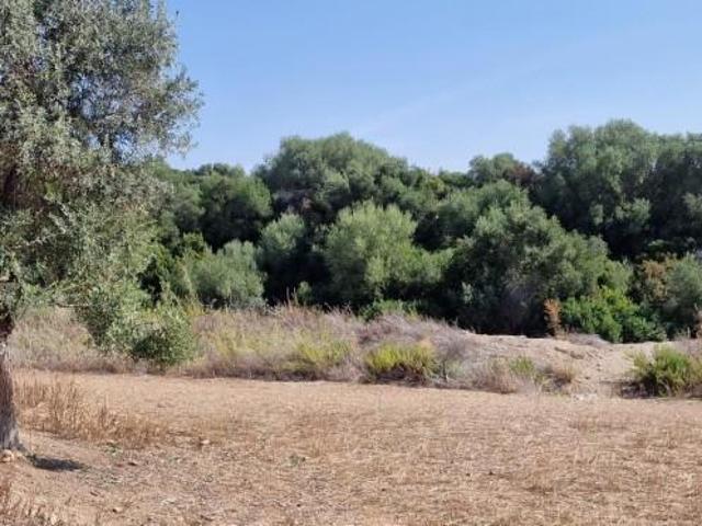 Terreno en venta en Arcos de la Frontera, Carretera arcos algar