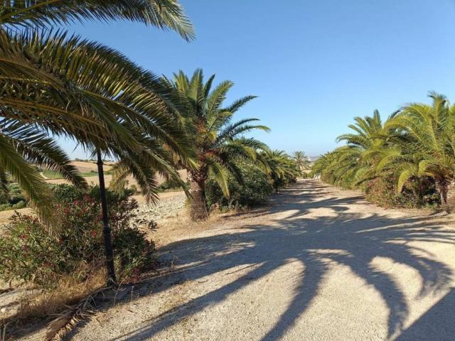 Terreno en Venta en Arcos de la Frontera