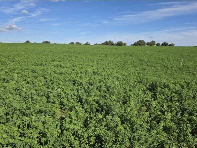 Terreno en Venta en Arcos de la Frontera