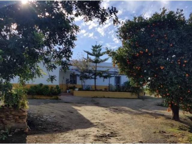 Terreno en Venta en Arcos de la Frontera