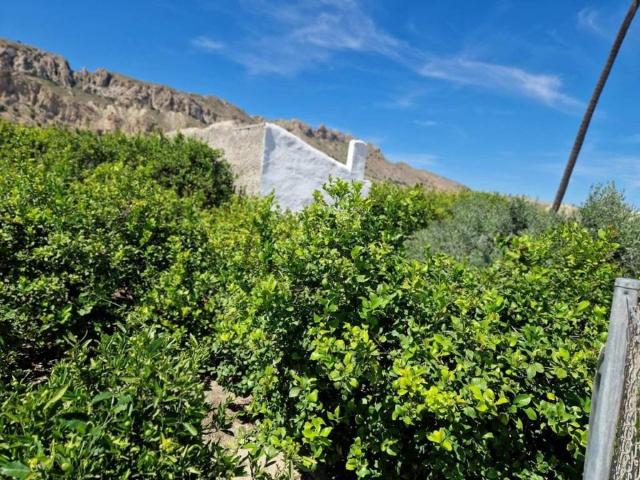 Terreno en Venta en Archena