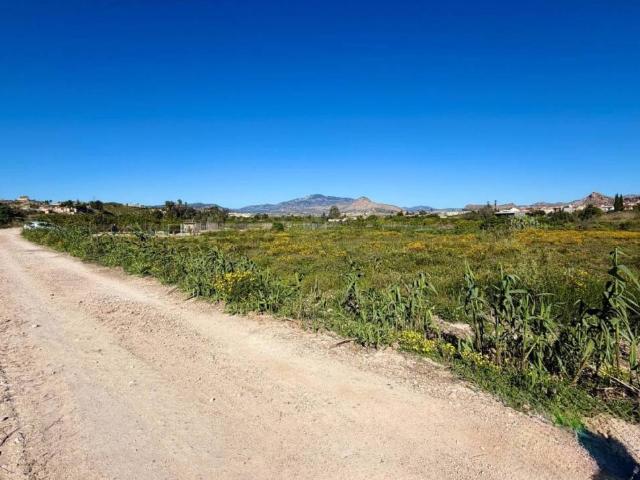 Terreno en Venta en Archena