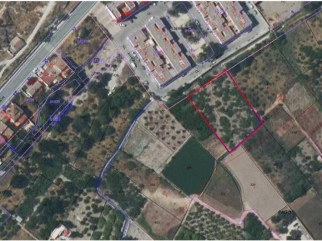 Terreno en Venta en Archena