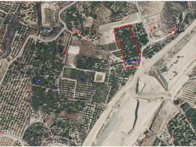 Terreno en Venta en Archena