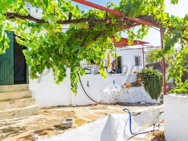 Terreno en Venta en Árchez