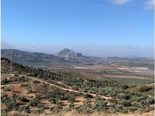 Terreno en Venta en Archidona