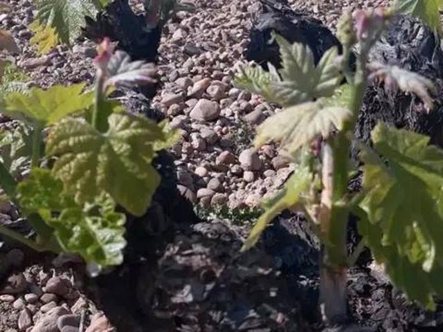 Terreno en Venta en Aranda de Duero