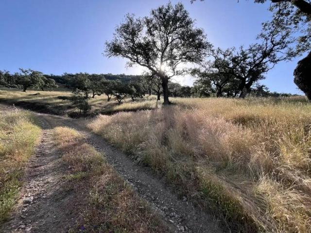 Terreno en Venta en Aracena
