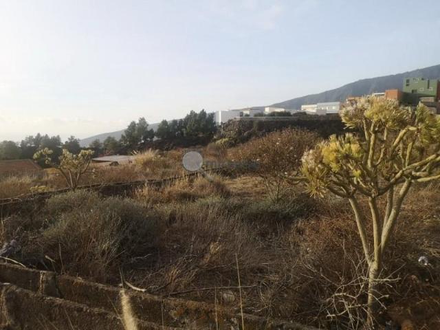 Terreno en venta en Arafo, Arafo