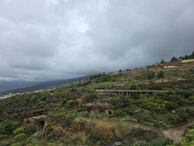 Terreno en Venta en Arafo