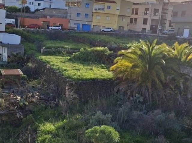 Terreno en Venta en Arafo