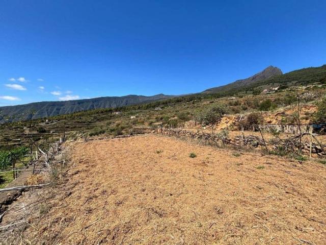 Terreno en Venta en Arafo