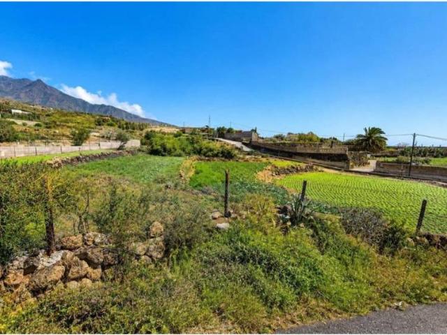 Terreno en Venta en Arafo