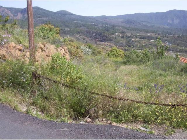 Terreno en Venta en Arafo