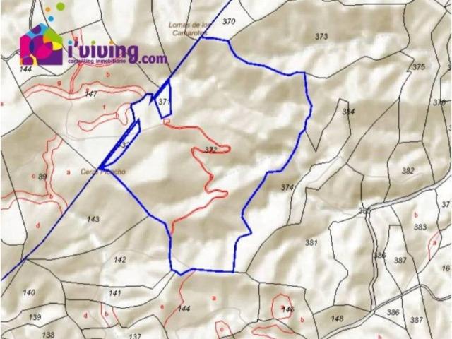 Terreno en Venta en Arboleas