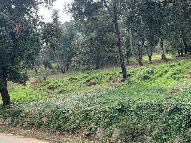 Terreno en venta en Arbúcies, de 1.530 m² por 65.000