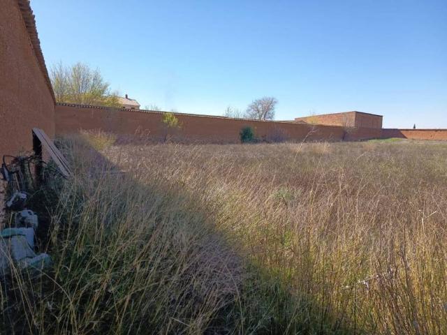 Terreno en Venta en Argamasilla de Alba