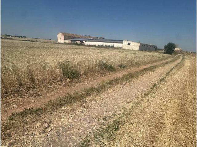 Terreno en Venta en Argamasilla de Alba