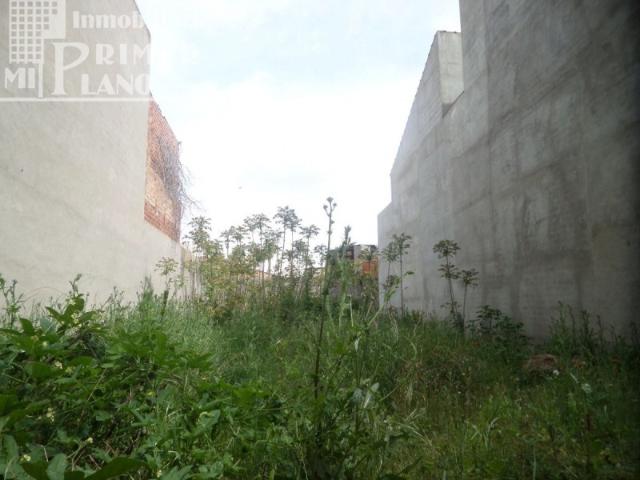 Terreno en venta en Argamasilla de Alba, Centro