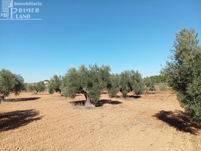 Terreno en venta en Argamasilla de Alba, Argamasilla Ruidera