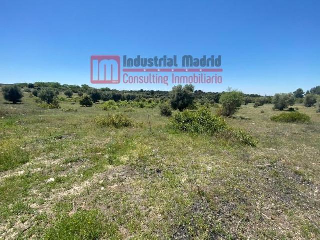 Terreno en venta en Arganda del Rey, ARGANDA DE REY MADRID