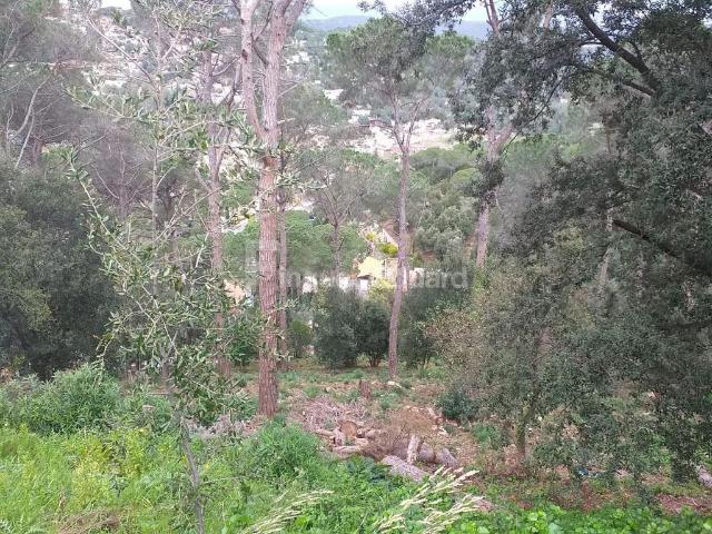 Terreno en venta en Argentona, de 712 m² por 60.000