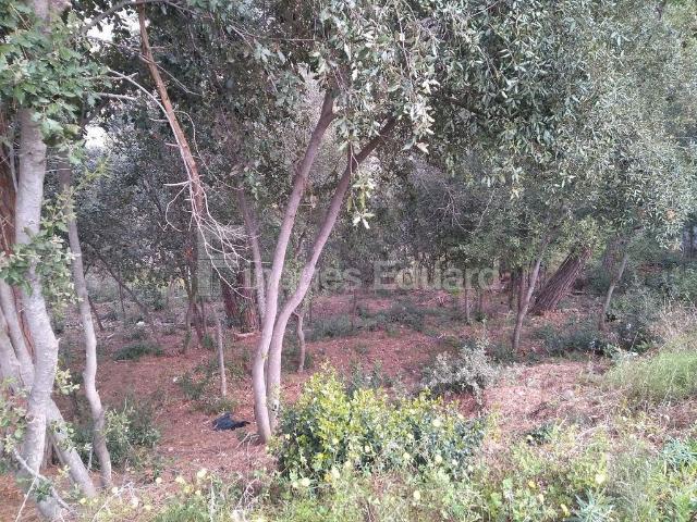 Terreno en venta en Argentona, de 1.068 m² por 98.000