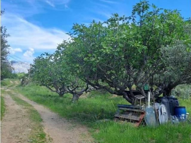 Terreno en Venta en Arenas de San Pedro