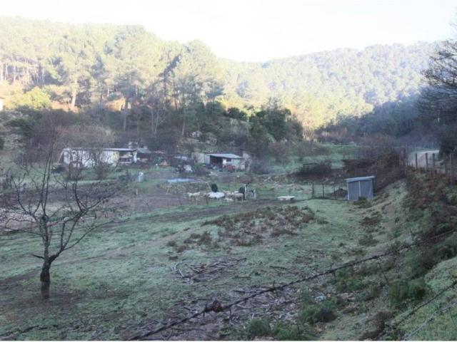 Terreno en Venta en Arenas de San Pedro