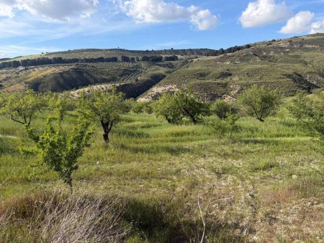 Terreno en Venta en Arenas del Rey