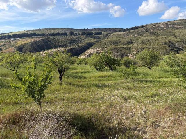Terreno en Venta en Arenas del Rey