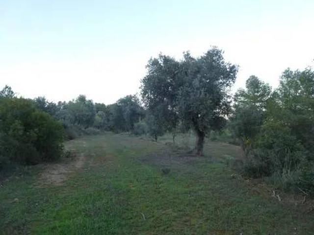 Terreno en Venta en Arens de Lledó