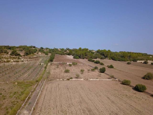 Terreno en Venta en Ariany