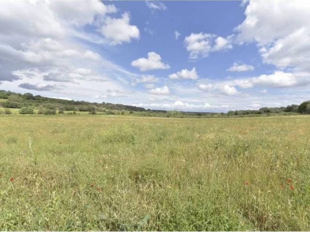 Terreno en Venta en Ariany