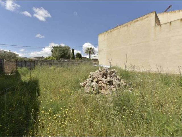 Terreno en Venta en Ariany