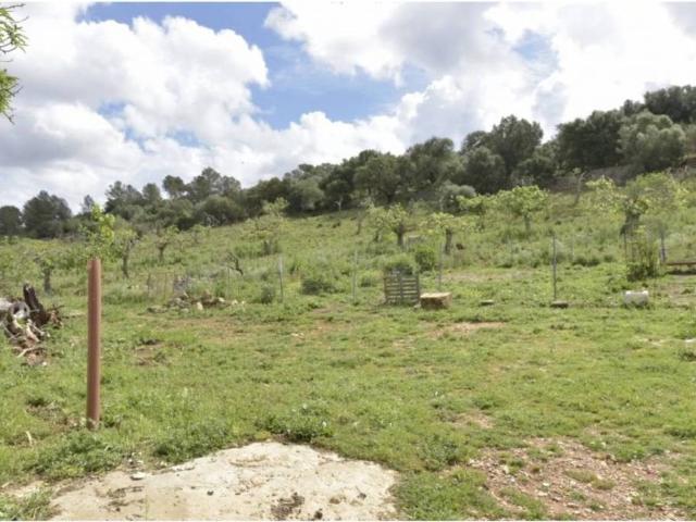 Terreno en Venta en Ariany
