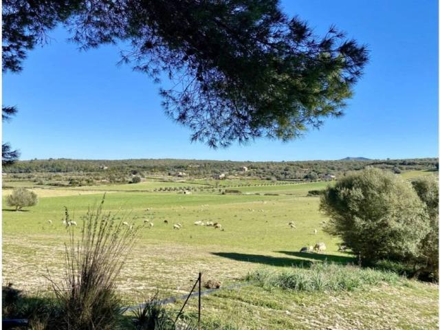 Terreno en Venta en Ariany