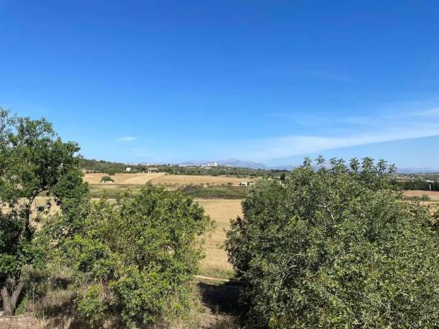 Terreno en Venta en Ariany