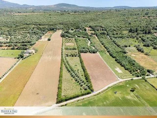Terreno en Venta en Ariany
