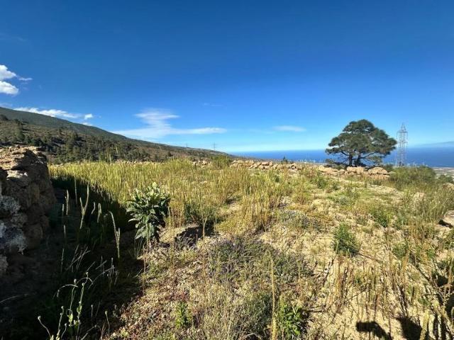 Terreno en venta en Arico, Arico el Viejo