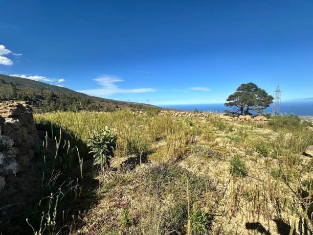Terreno en Venta en Arico