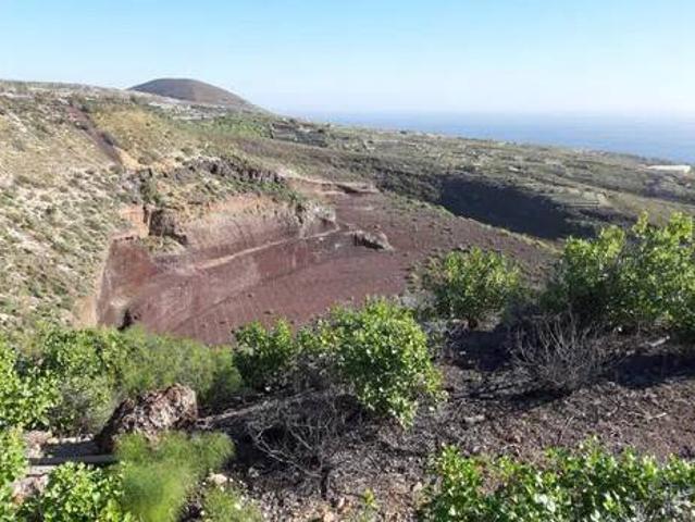Terreno en Venta en Arico