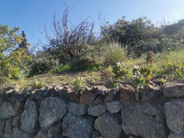 Terreno en Venta en Arico