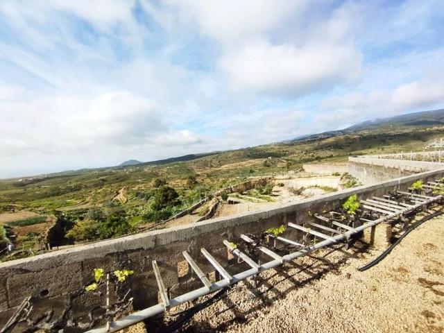 Terreno en Venta en Arico