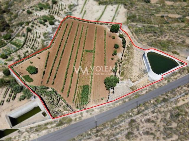 Terreno en Venta en Arico