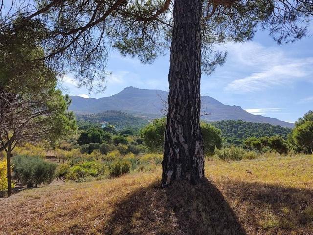 Terreno en Venta en Arnedo