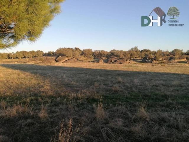 Terreno en Venta en Arroyo de La Luz
