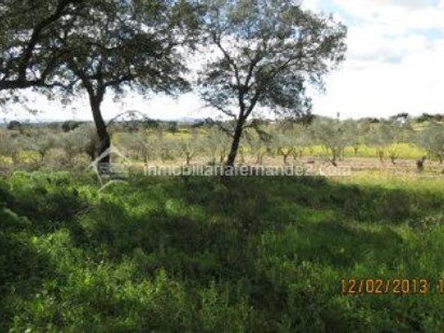 Terreno en venta en Arroyo de la Luz, ARROYO DE LA LUZ