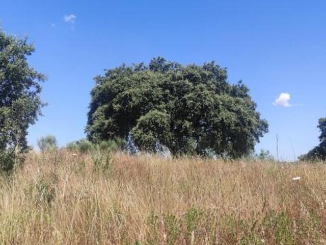 Terreno en venta en Arroyo de la Luz, OTRAS ZONAS