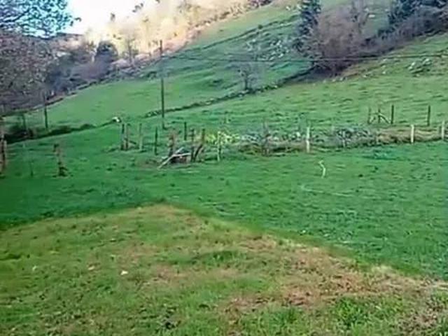 Terreno en Venta en Arredondo